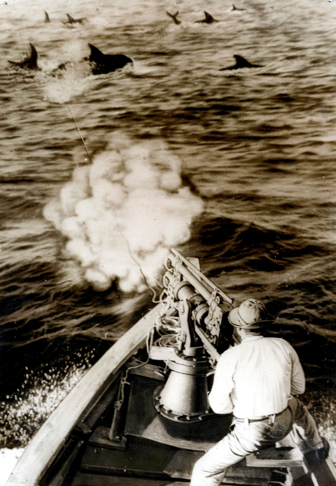 1946 キャッチャー・ボートで 捕鯨をはじめる